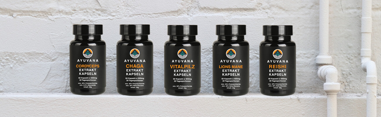 NEOVANA Vitalpilz Kapseln - Produktübersicht